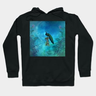 The unique beauty of the fascinating peacock Hoodie